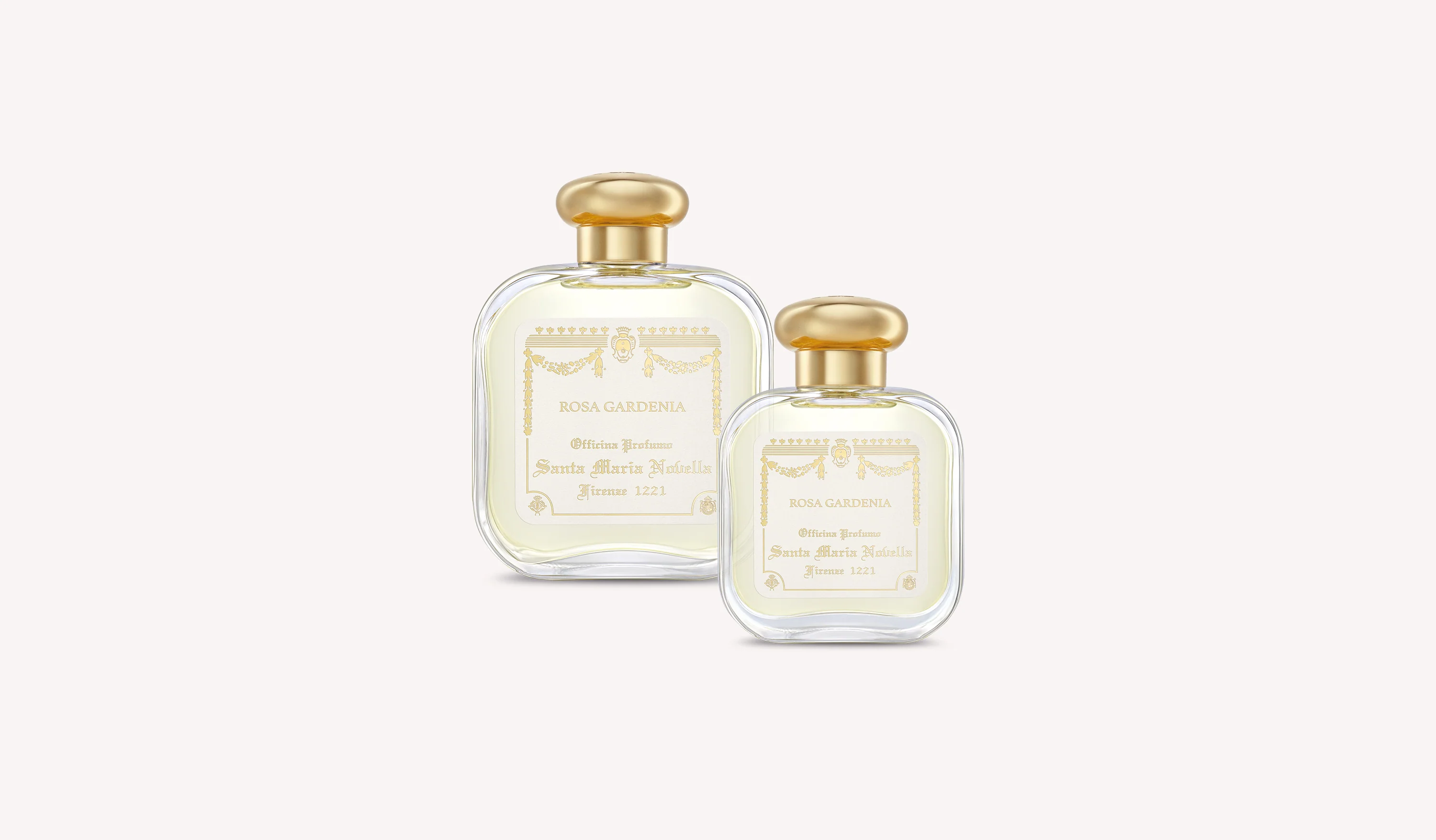 Rosa Gardenia - Image 5
