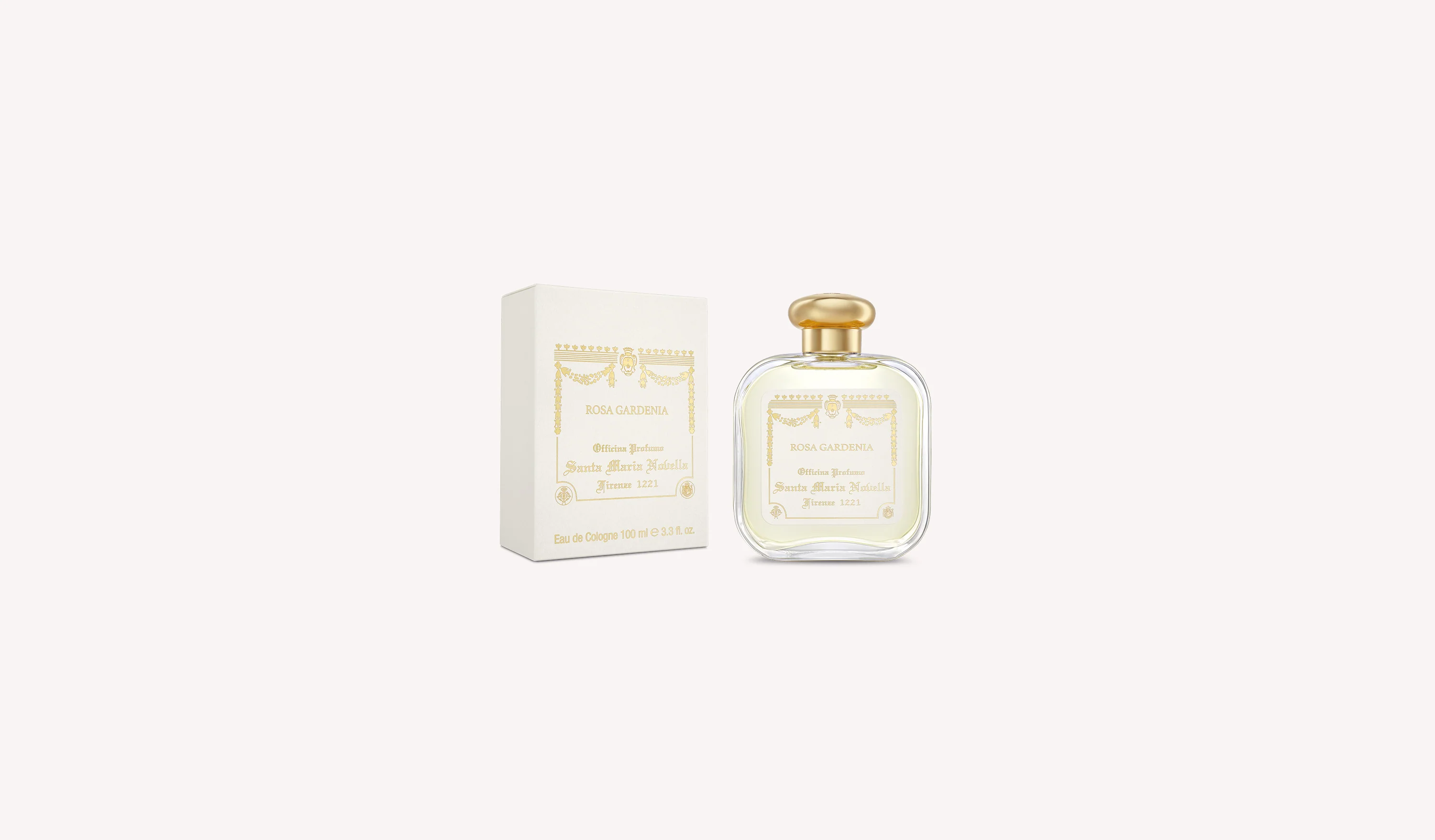 Rosa Gardenia - Image 7